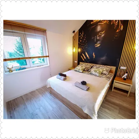 Apartment Roku 2024 - Jelen & Natura Kudowa Zdroj Exterior photo