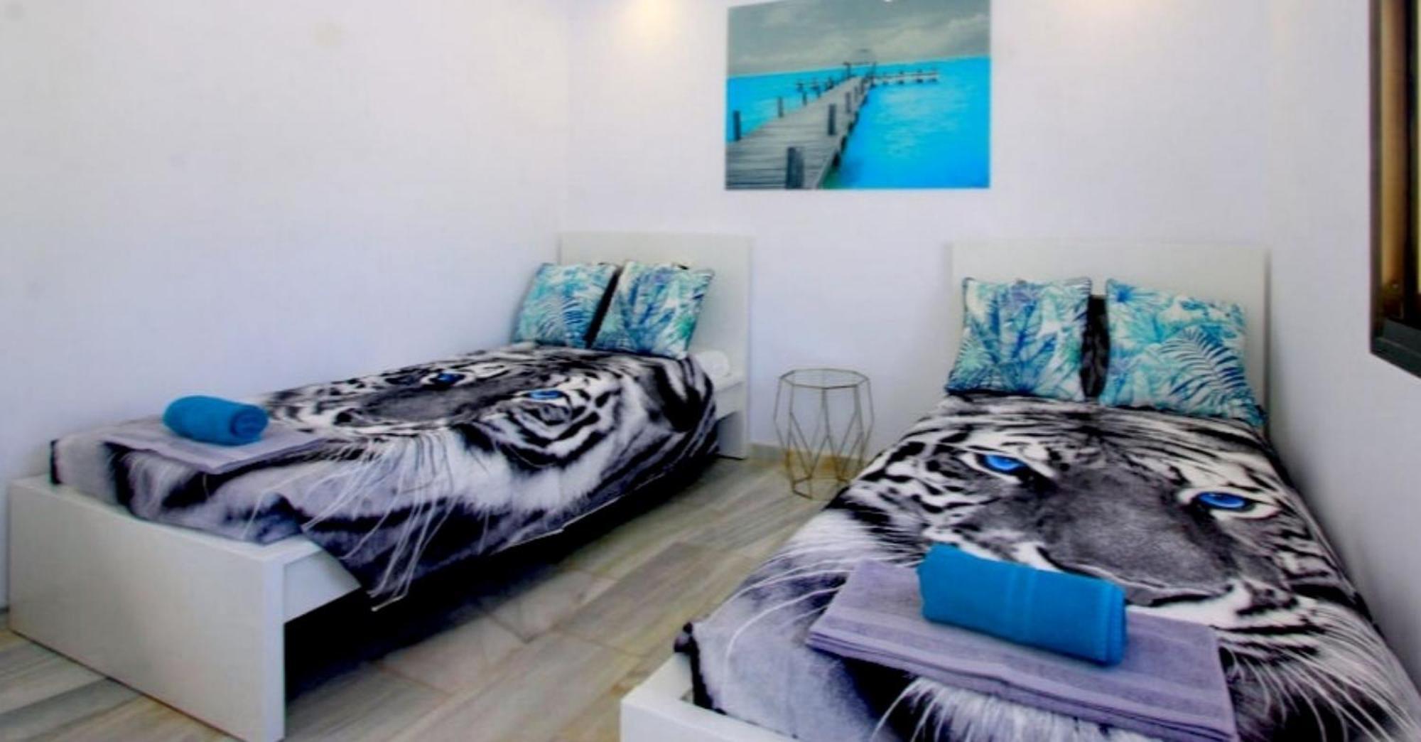 Apartment Roku 2024 - Jelen & Natura